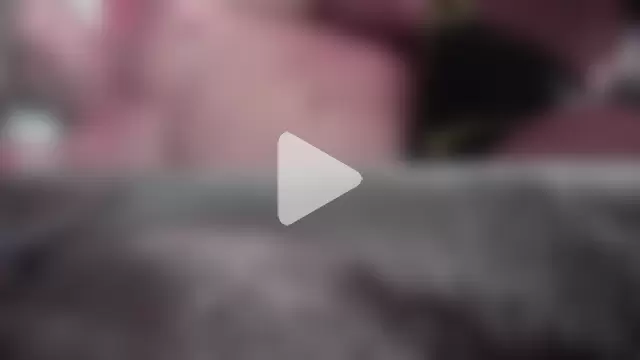 JRock69nKzoo photo 8