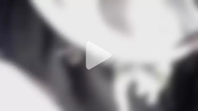 JRock69nKzoo photo 3