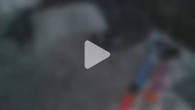 Jacknjimmyjohn photo 14