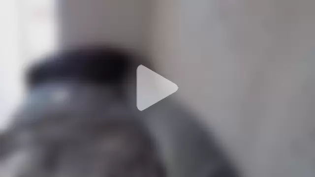 JadeAlexis403 photo 2