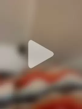 Jaipurbull69 photo 6