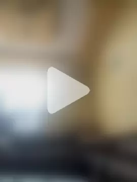 Jaipurbull69 photo 1