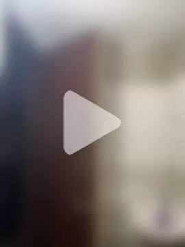 Jasmine_Shemale photo 9