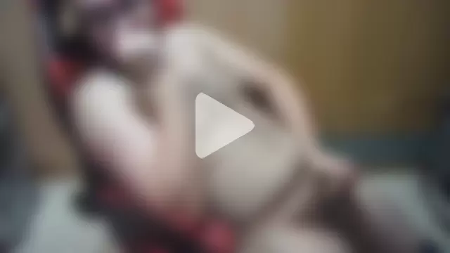 Javier_bear photo 11