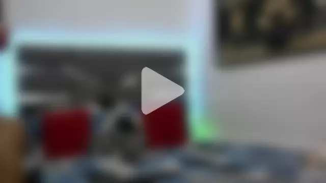 Jayden_jack photo 14