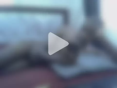 Jaysexxy255 photo 2