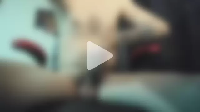 Jeff_Walton@xh photo 20