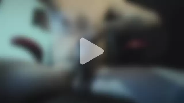 Jeff_Walton@xh photo 17