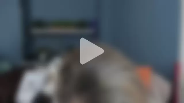 JessicaFoxie photo 8