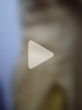 Jeya_thakur photo 10