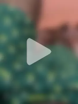 Jon410 photo 5