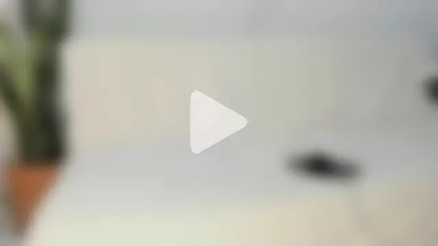 JuanDiegoKing photo 19