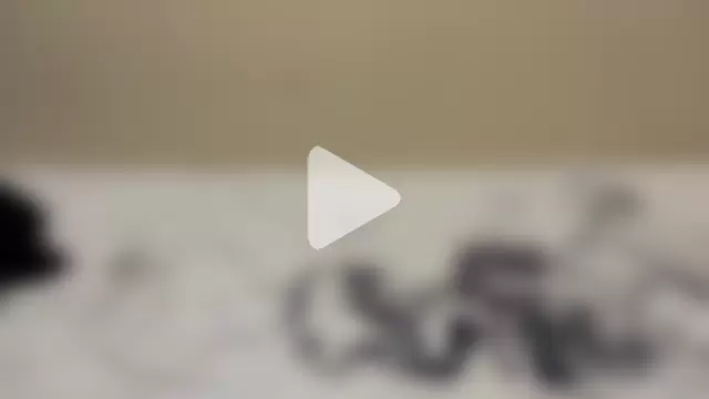 Juicyhard12 photo 8
