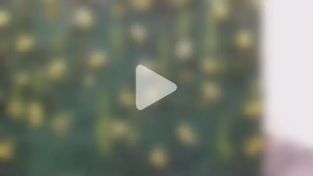 Julieta_De_Los_Angeles photo 23