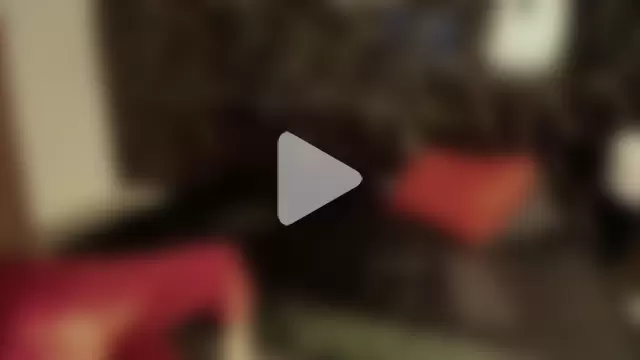 Julieta_Wall_ photo 15