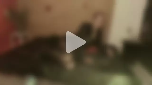 Julieta_Wall_ photo 6