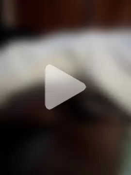 JustFun223 photo 1