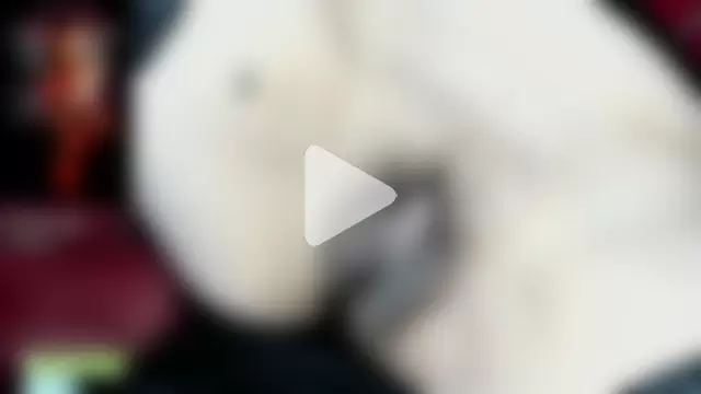 KARINASPALACIOS photo 13