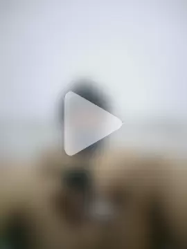 Kajal_Hot03 photo 12