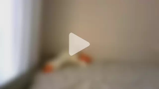 KassiaRayne_ photo 10