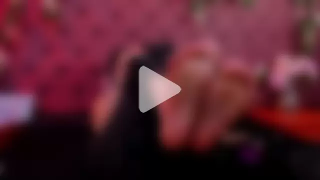 Katty_Queen photo 20