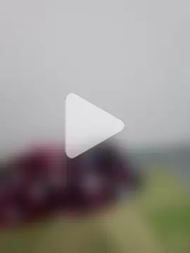 Kavya_KannadaTamil photo 3