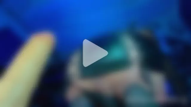 Kenny_starrK photo 21