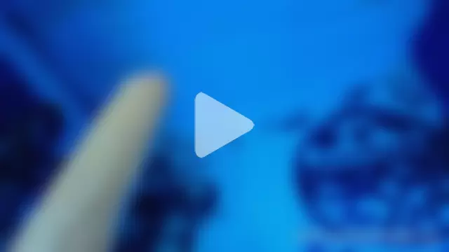 Kenny_starrK photo 1