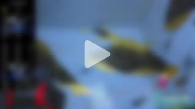 Kevin22_222 photo 19