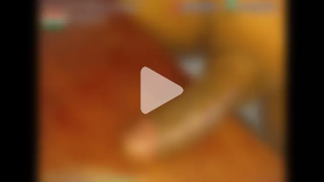 KingCobraClassy photo 13