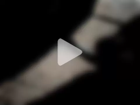 Kingbigcock23cm photo 11