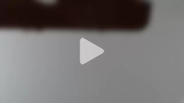 Kitty_and_jake photo 16