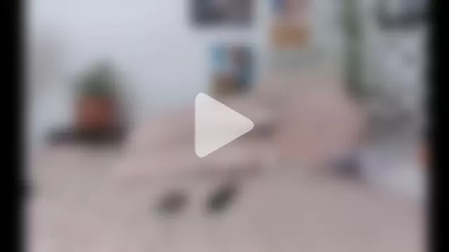 Komurasaki_ photo 16