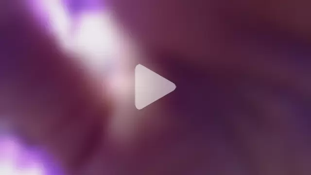 Koreanowner photo 22