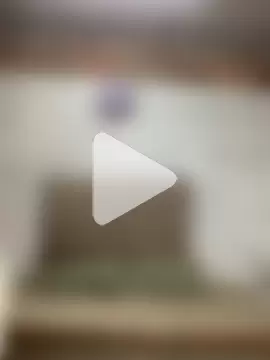 LUCIANA_FOX_TS photo 19