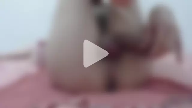 Lady_Bridgerton_ photo 26