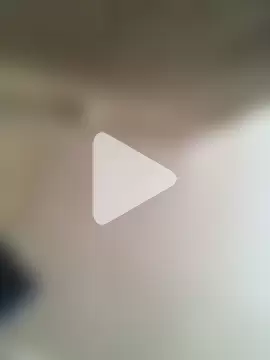 Lamborghiniasia photo 1