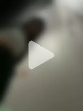 LaudingElastase photo 18