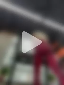 LaudingElastase photo 8