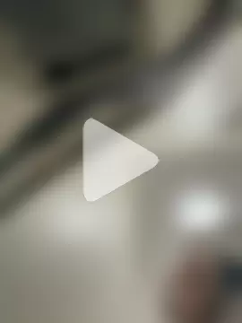 LaudingElastase photo 6