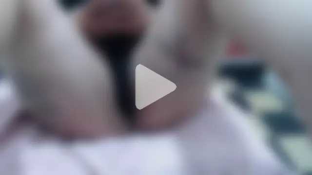 Laura_hottt photo 26