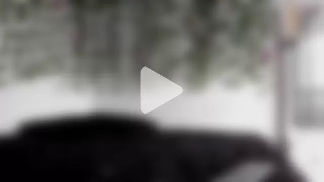 Laurensmith9 photo 25