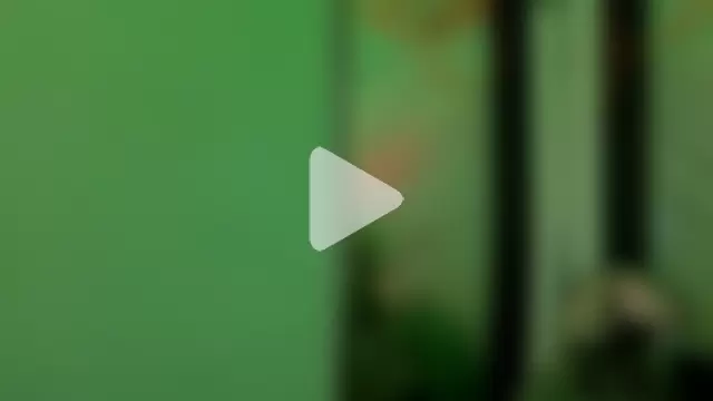 Layla_Cullen photo 5