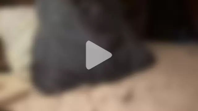 LeoLovelyDick photo 9