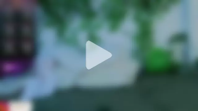 Levii_Ackermann photo 20