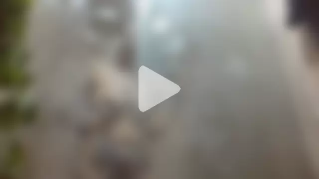 Leyla_Horny_Bg photo 1