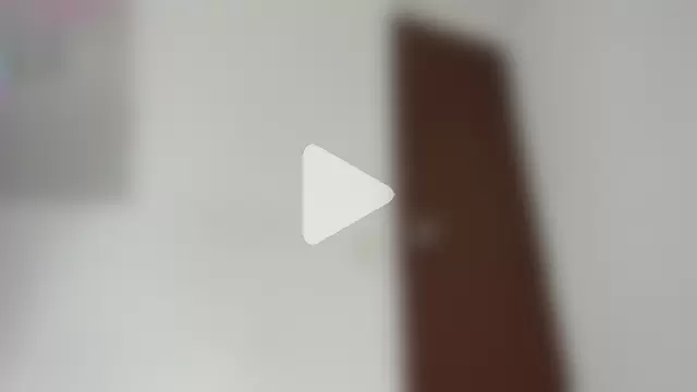 Lianfox_1 photo 22