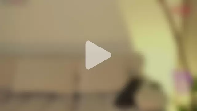 LindseyMoss photo 18