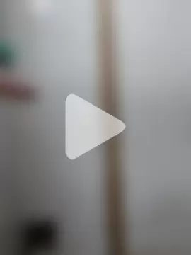 Little-Sammy photo 19