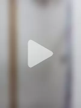 Little-Sammy photo 12